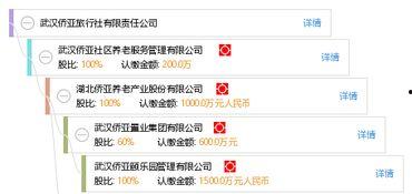武汉侨亚集团最新爆料,揭秘企业转型与市场布局新动向